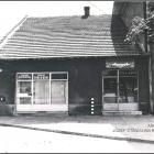 zdjęcie nr 13