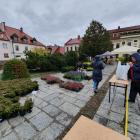 zdjęcie nr 15