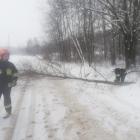 Dobczyce-16.01