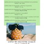 zdjęcie nr 21