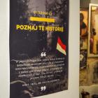 zdjęcie nr 9