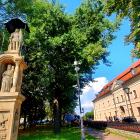 zdjęcie nr 8