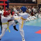 KARATE2