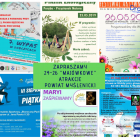 zdjęcie nr 13