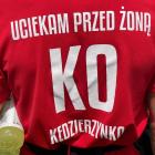 zdjęcie nr 43