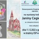zdjęcie nr 12