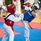 karate10