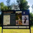 zdjęcie nr 37