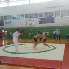 sumo4