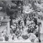zdjęcie nr 27