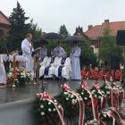 zdjęcie nr 14