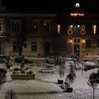 CHOINKA MYŚLENICE RYNEK 2023