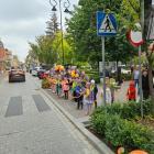 zdjęcie nr 8