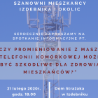 izdebnik miniatura