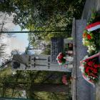 zdjęcie nr 13