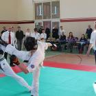 karate