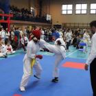 KARATE1
