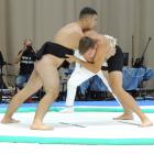 sumo6