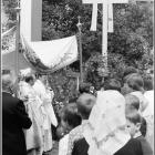 zdjęcie nr 54