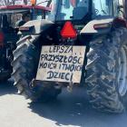 zdjęcie nr 14