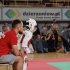 karate 7
