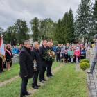zdjęcie nr 7