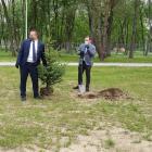 zdjęcie nr 13