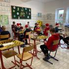 zdjęcie nr 15