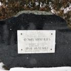 zdjęcie nr 11