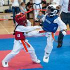 karate11