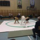 sumo
