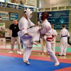 karate 6
