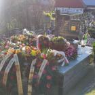 Fotka nr 1 z 13