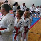 karate8