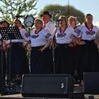 zdjęcie nr 14