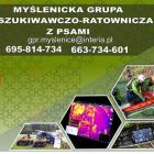 logo-gpr