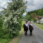 zdjęcie nr 14