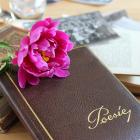 poetry-album-g17e69281e_1920