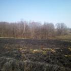 Siepraw-trawy2-18.03