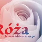 róża