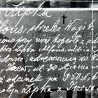 zdjęcie nr 11
