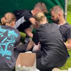 zdjęcie nr 27