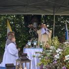 zdjęcie nr 15