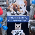 zdjęcie nr 21