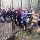 zdjęcie nr 9