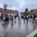 zdjęcie nr 13