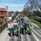 zdjęcie nr 7