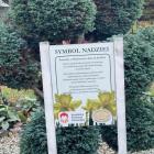 zdjęcie nr 38