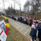 zdjęcie nr 137