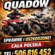 zdjęcie nr 